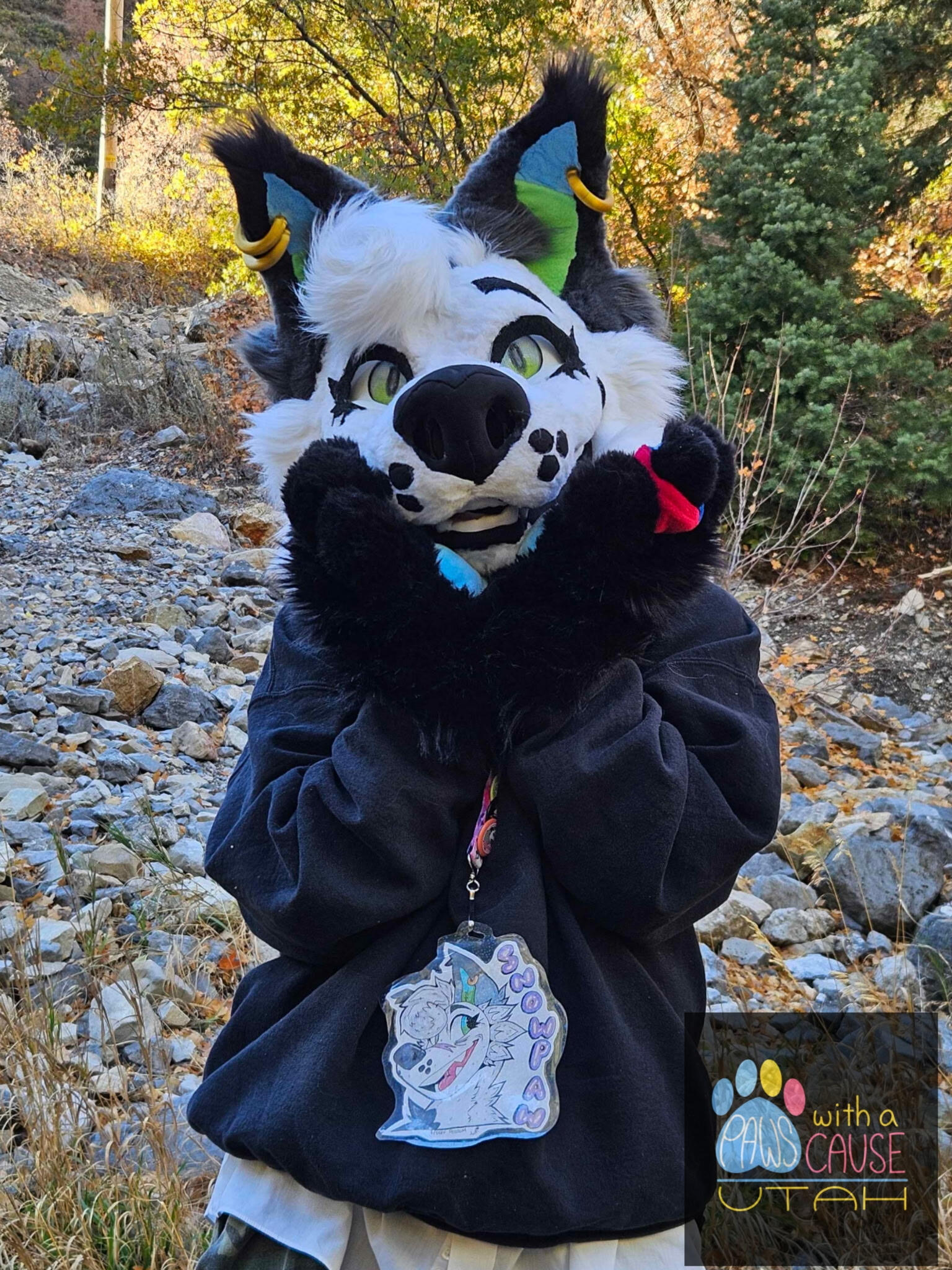Snowpaw the Wolf