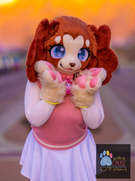 Bonbon the Dog