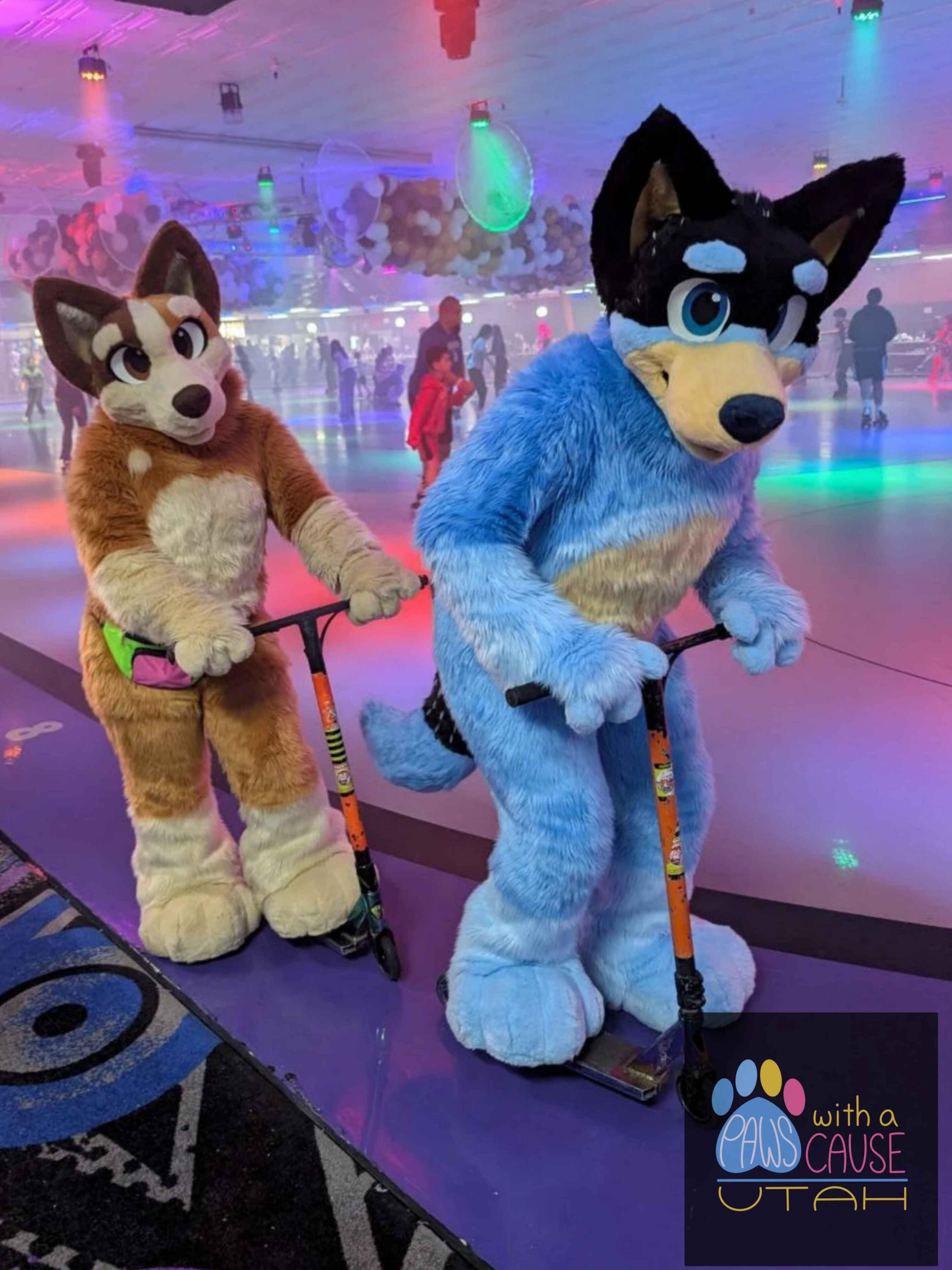 Chilli and Bandit