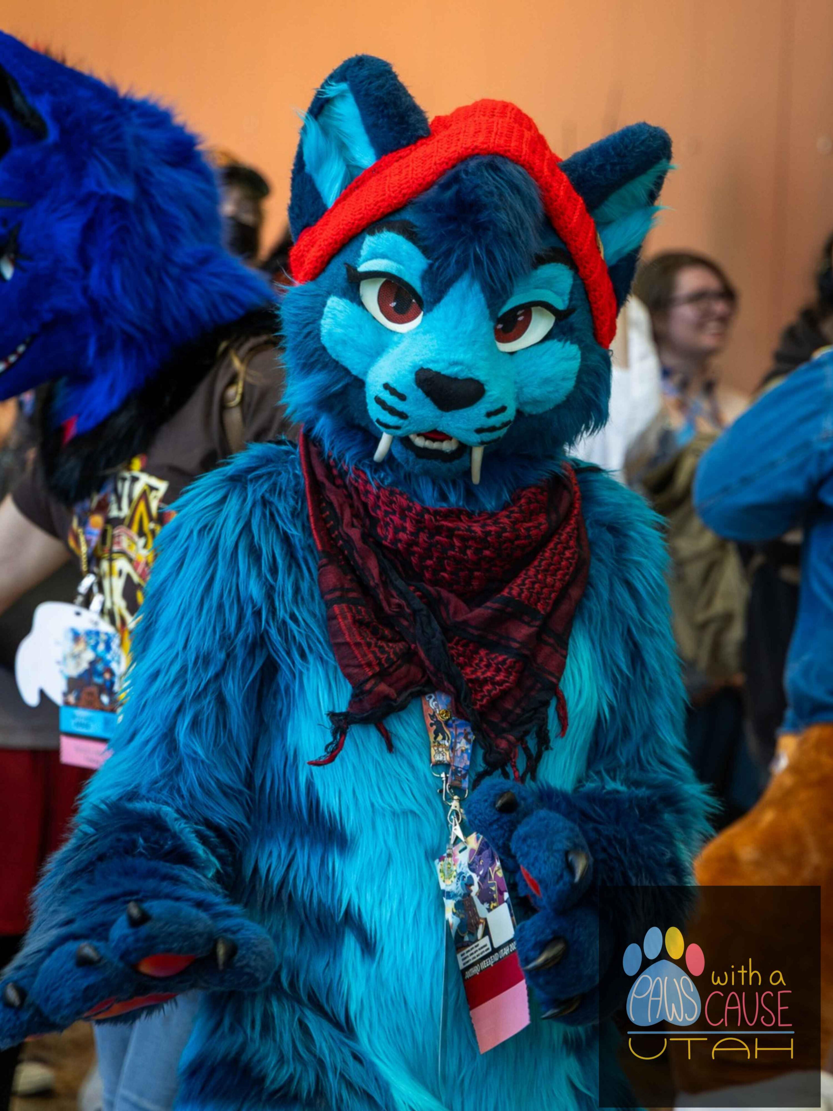 Nova the Blue Cat